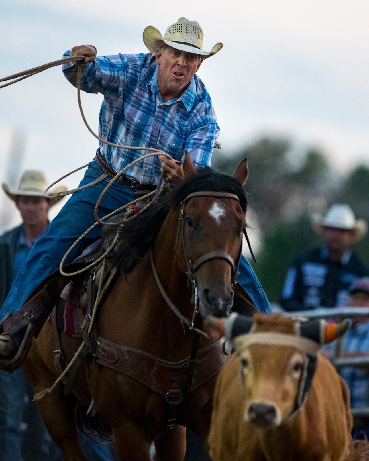 Yellowstone River Roundup
